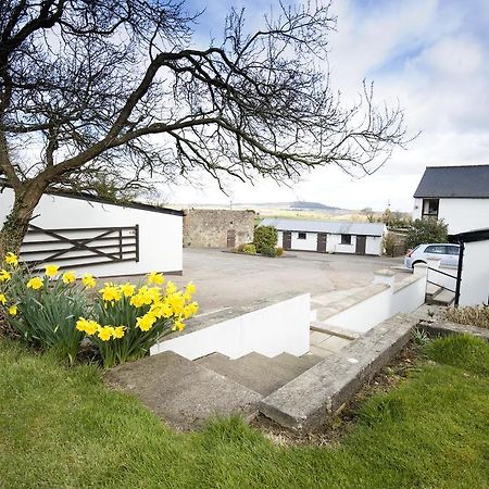 Coach Road Cottages Comber Esterno foto