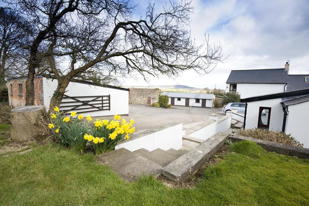 Coach Road Cottages Comber Esterno foto